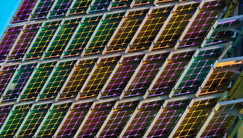 Bölgesel dağıtım ve rekabetçi manzara